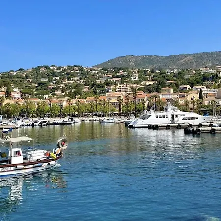 Agave Au Lavandou *