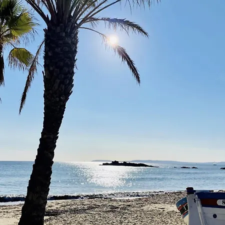 Agave Au Lavandou * لو لا فاندو